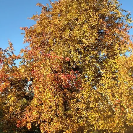 Le Pre Frühstückspension