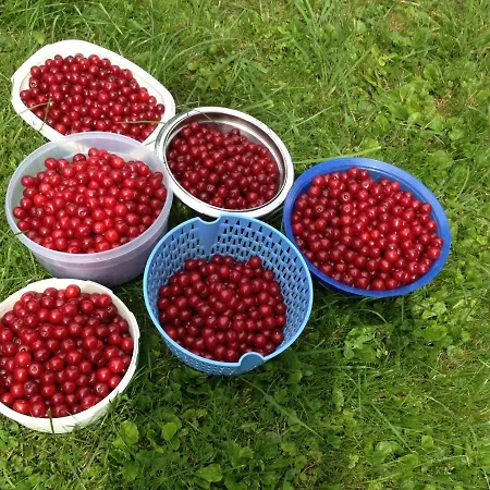 Le Pre Frühstückspension