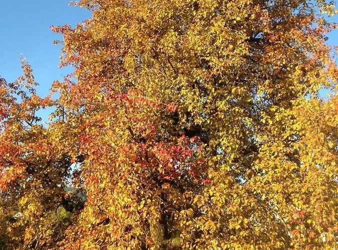 Le Pre Nocleg ze śniadaniem