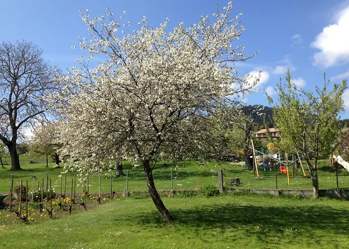 Le Pré Bed & Breakfast Juriens