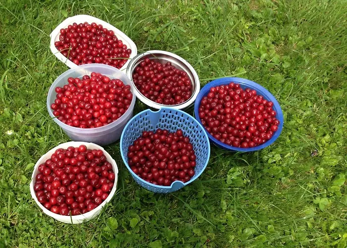 Le Pré Bed & Breakfast